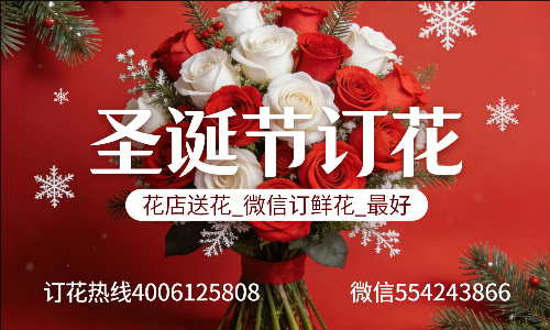 �麣����������